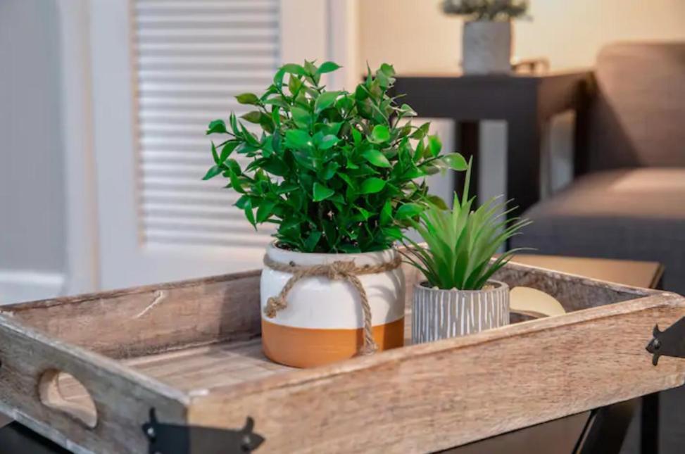 Modern Westshore Apartment Tampa Luaran gambar